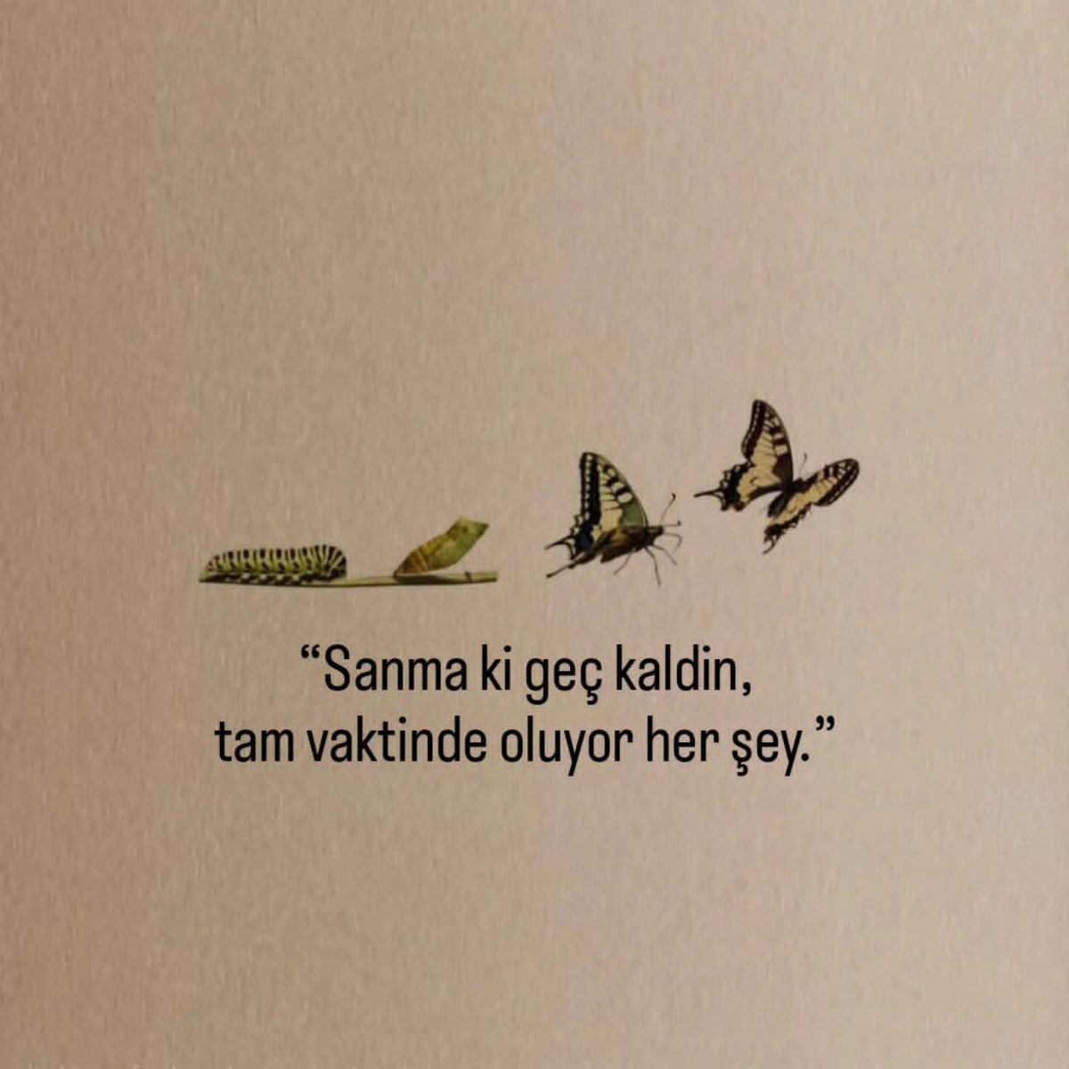 _Nekre's tweet photo. “Sanma ki geç kaldın,
tam vaktinde oluyor her şey.” https://t.co/ao9cDpmtWO