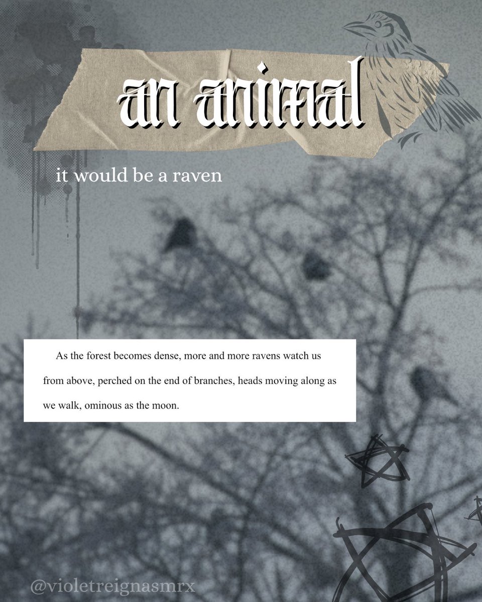 violetvpa's tweet photo. if my book was…  (part 2)

- my adult dark romantic fantasy 🖤⚔️ -

#amquerying https://t.co/nlXDbyOHaB