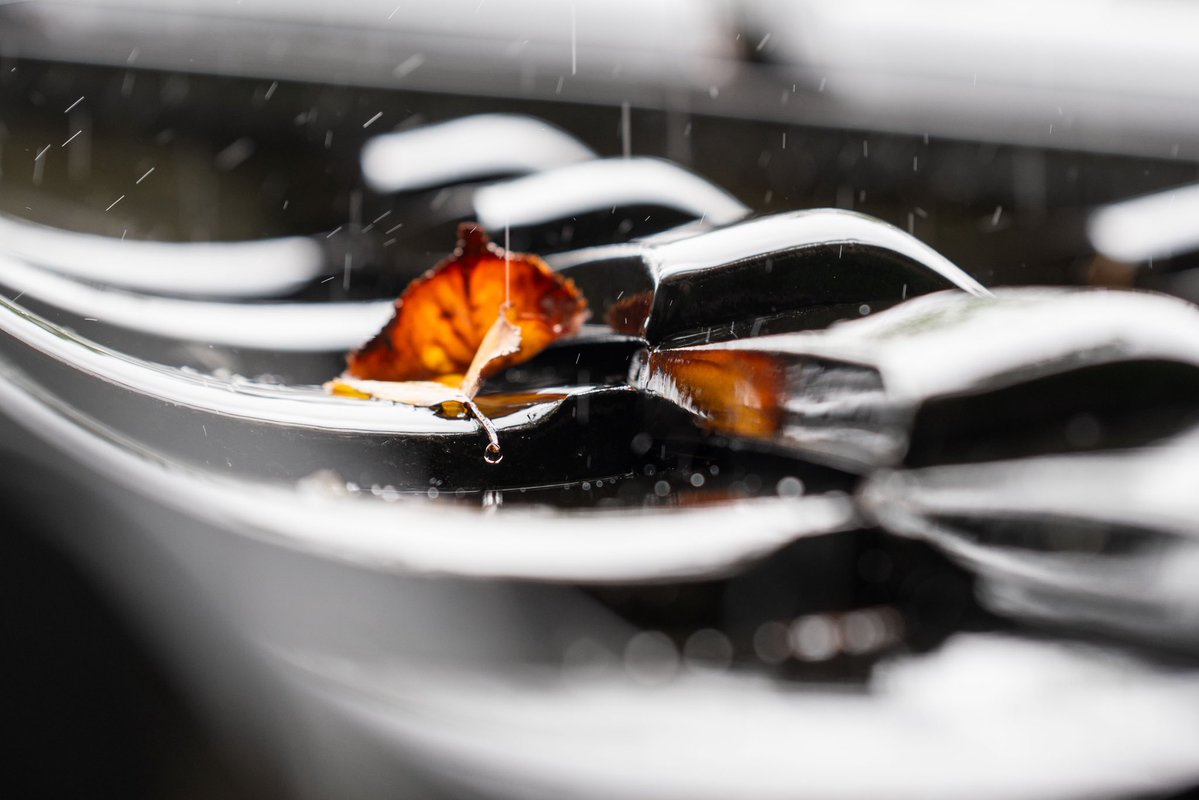 mifune3801's tweet photo. SIGMA 85mm F1.4の描写すごい。F1.2は一体どうなってしまうんだ…
#SIGMA85 https://t.co/mK6jkOSWQU