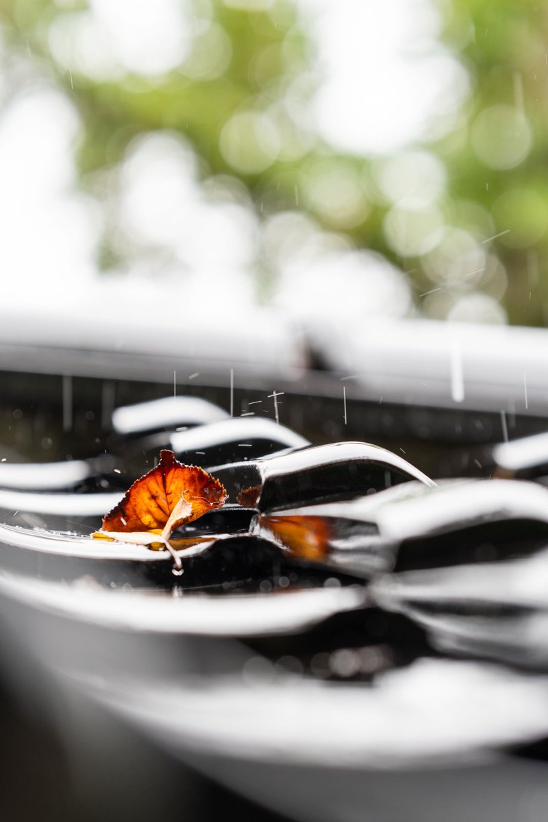 mifune3801's tweet photo. SIGMA 85mm F1.4の描写すごい。F1.2は一体どうなってしまうんだ…
#SIGMA85 https://t.co/mK6jkOSWQU