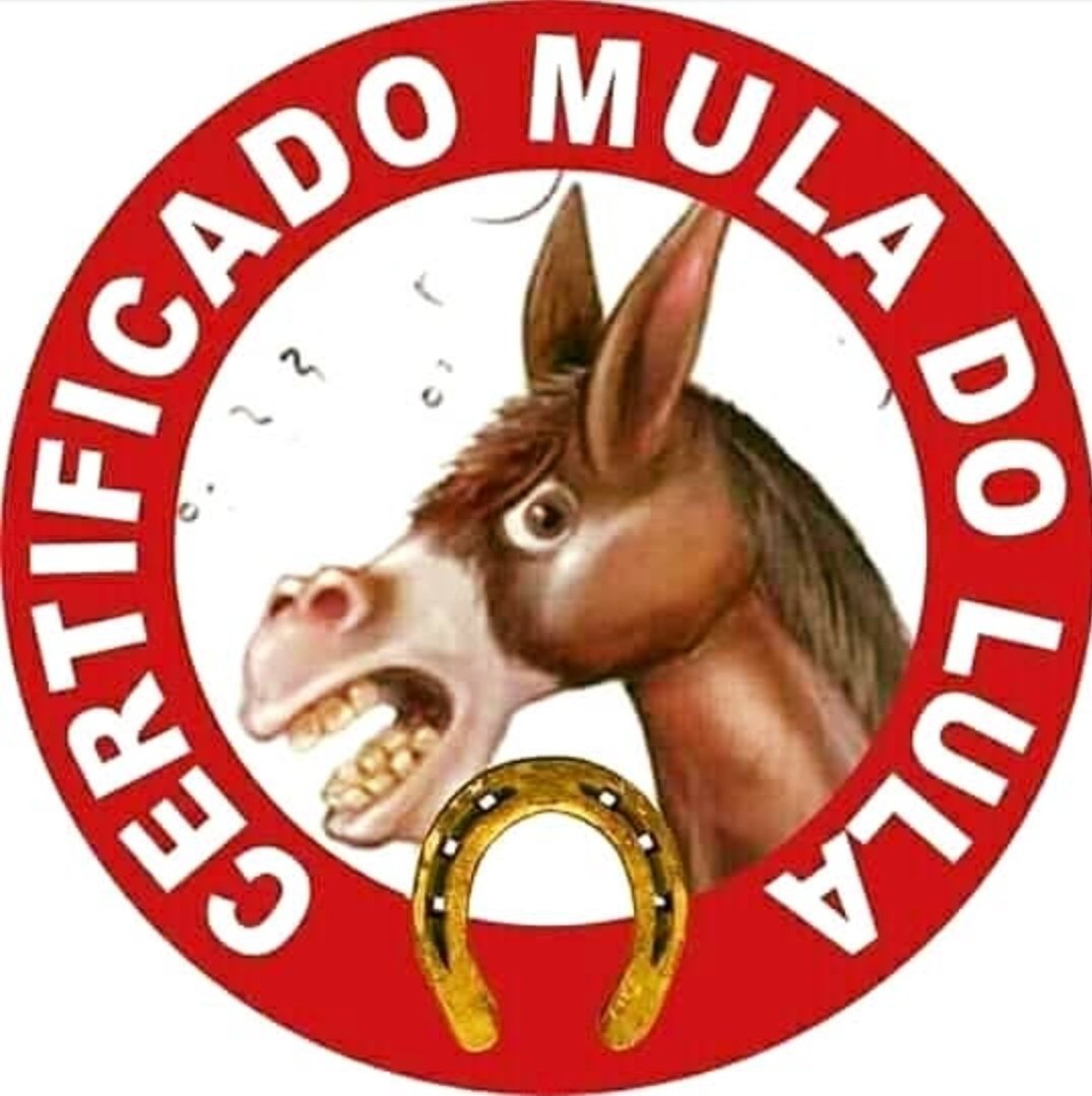 roreis's tweet photo. @carvalho_harlen https://t.co/zTWr7N0BK4