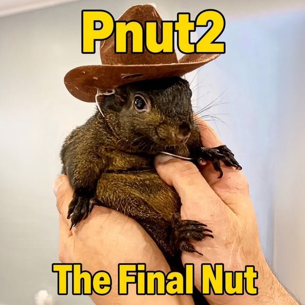 fdausyusoff's tweet photo. Pnut2 is going crazy.. So funny 😅 https://t.co/RCxcmxsTjn