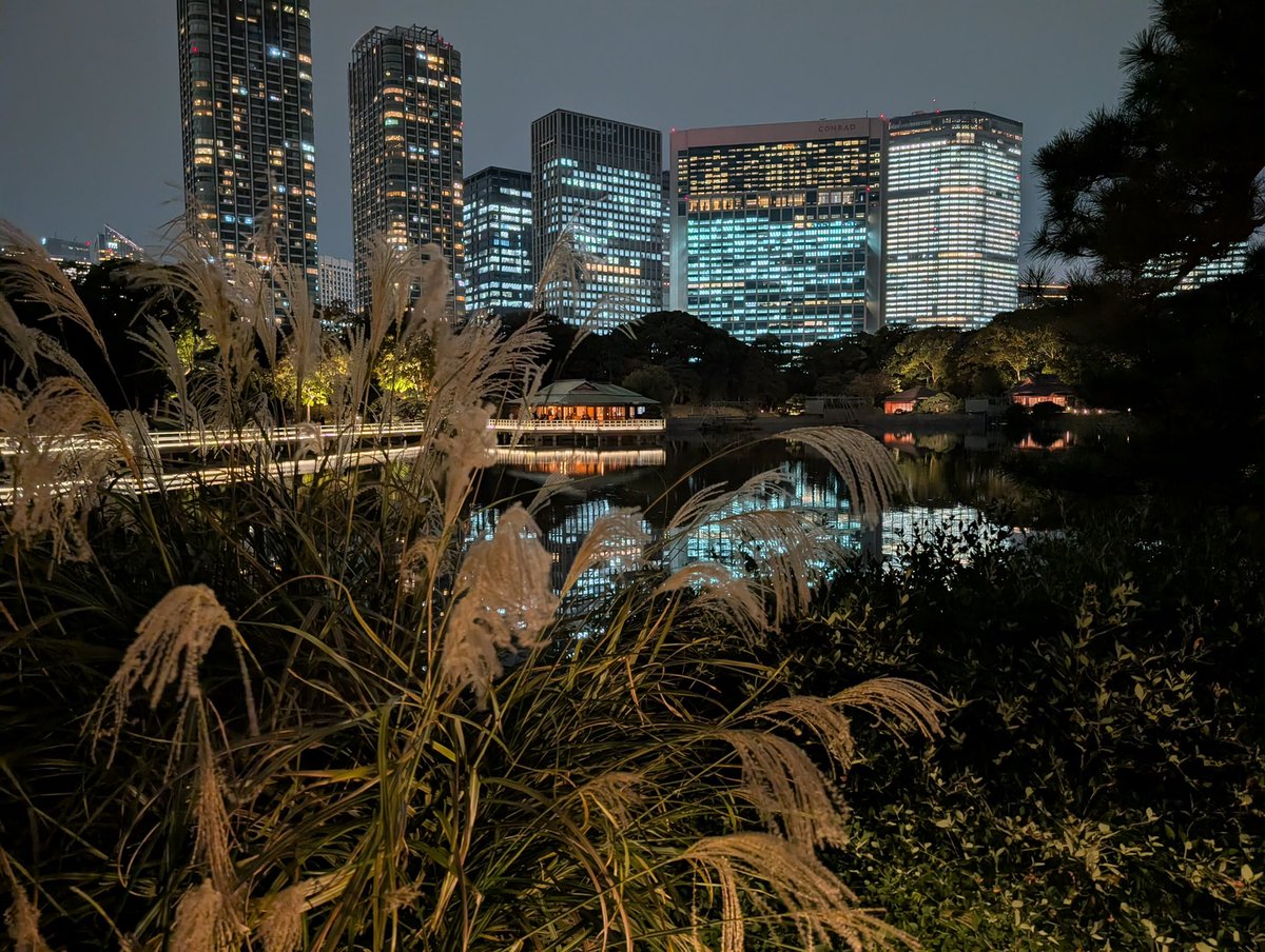 maruyuyua0515's tweet photo. 去年行ったけど良かったから今年も行きたいな(問題は今年は会社帰りに定時上がりできるか🤔)
写真もそえとこー https://t.co/UkZmtGxXUd