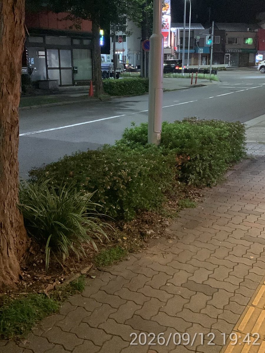 kimachan1966's tweet photo. あれ？

オーバースペック
っていう言葉あるじゃん

その反対の意味の言葉って
何て言うんだろう

ショートスペック？

ラブイズオーバースペック？

ミスタースポック？

おもしろいことは
思いつきません☺️ https://t.co/KbqHJDbIsA