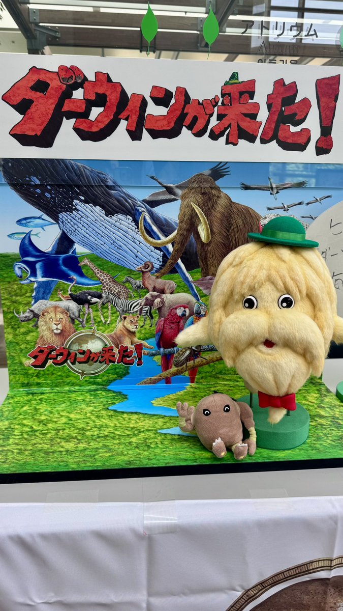 haruka6969's tweet photo. 久しぶりにお出かけ
一面に広がるホワイトビンカ♪
ヒゲじいもいたよ
#ポケぬい https://t.co/tAhJ8DDrcN