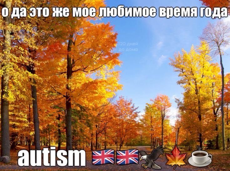 HonkyLeChat's tweet photo. @treschenko24 Люблю осень только за температуру, а так, к сожалению, появляется челлендж не умереть от депрессивного эпизода до Нового Года https://t.co/GN1FVEKXFj