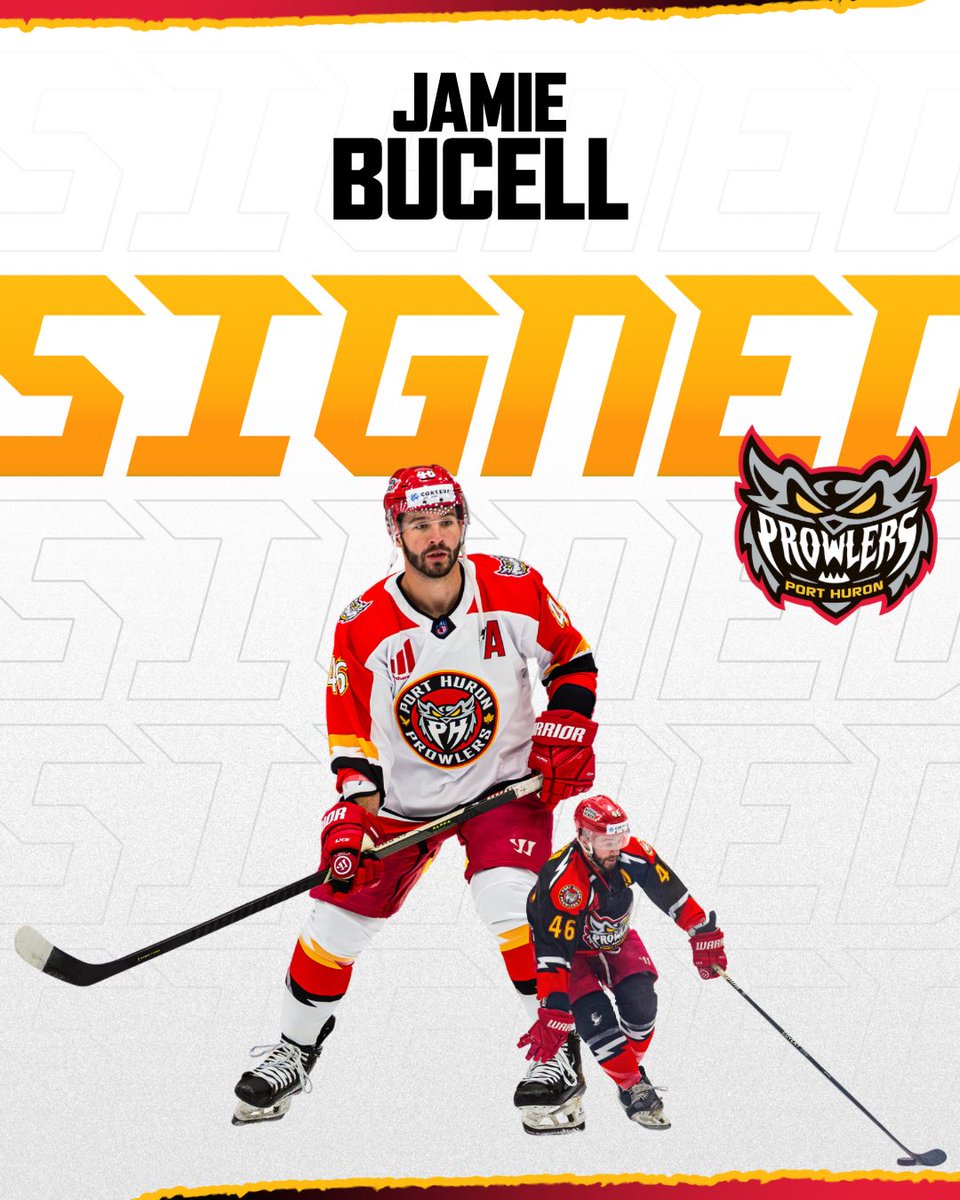 PHProwlers's tweet photo. It's official; Jamie Bucell is coming back! Read all about it at the link below #PlayProwlersHockey

https://t.co/h3T9ZVmQ5A https://t.co/QGcp920Wyd