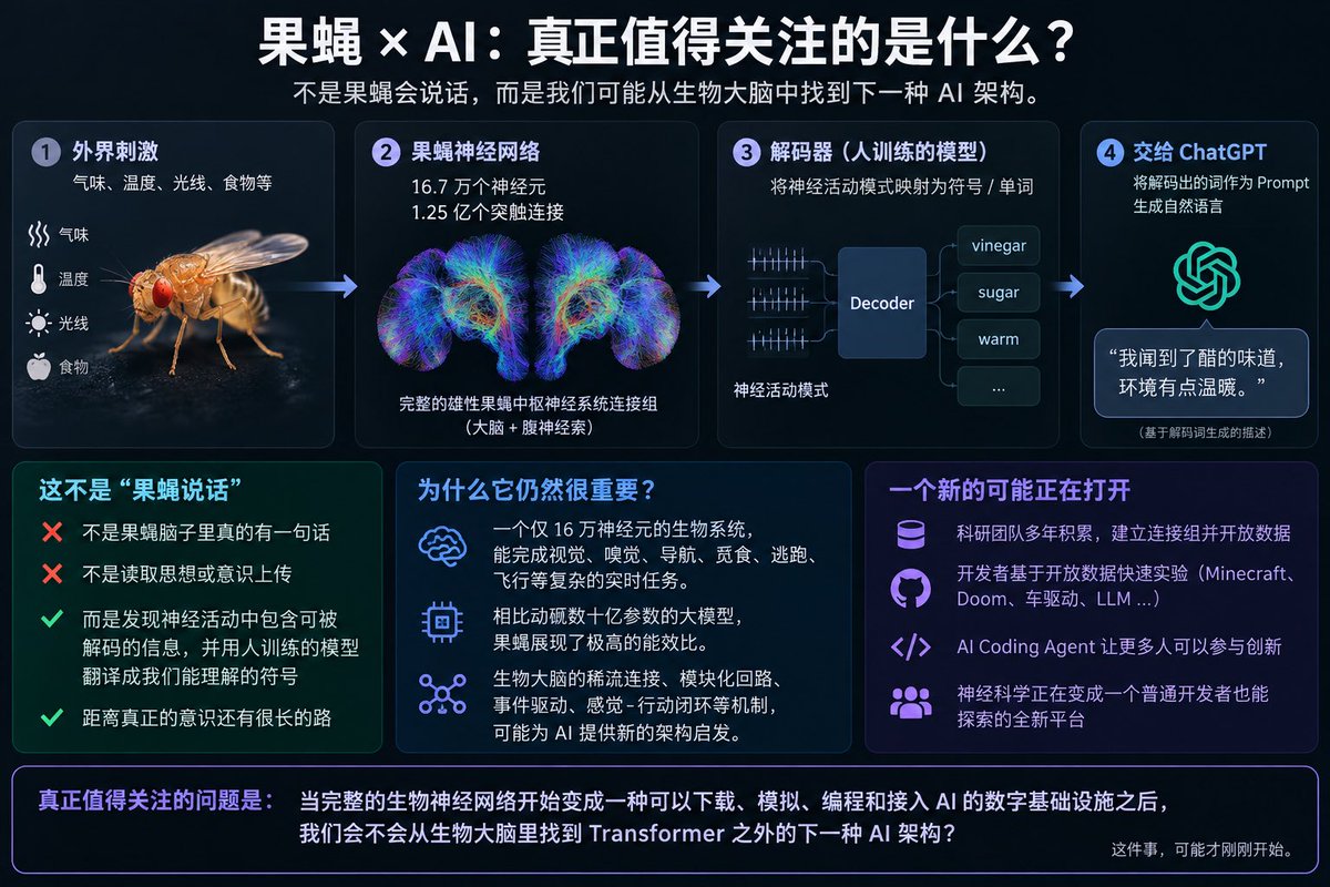 雨哥向前冲 的图片 1