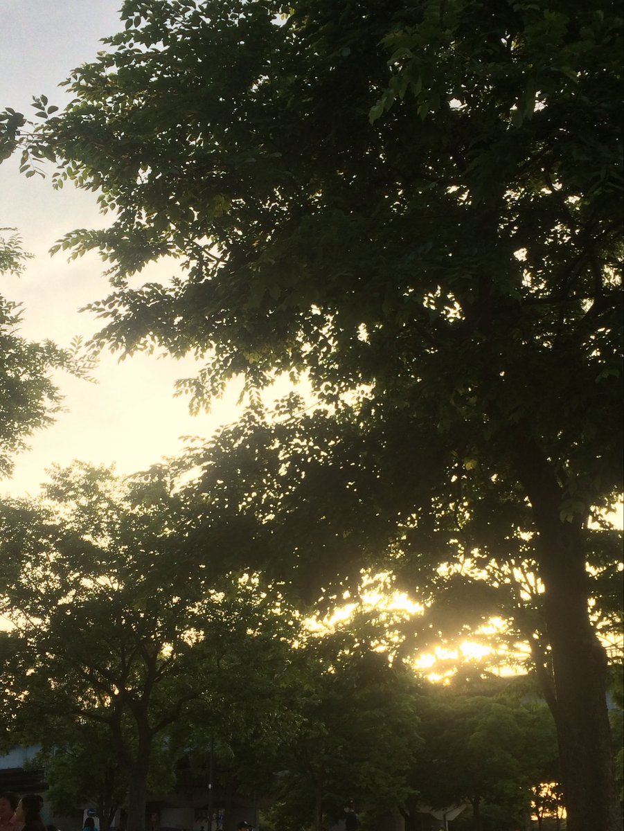reukk_e's tweet photo. 한강
근데이제5월에다녀왔던 https://t.co/mesmknF8rq