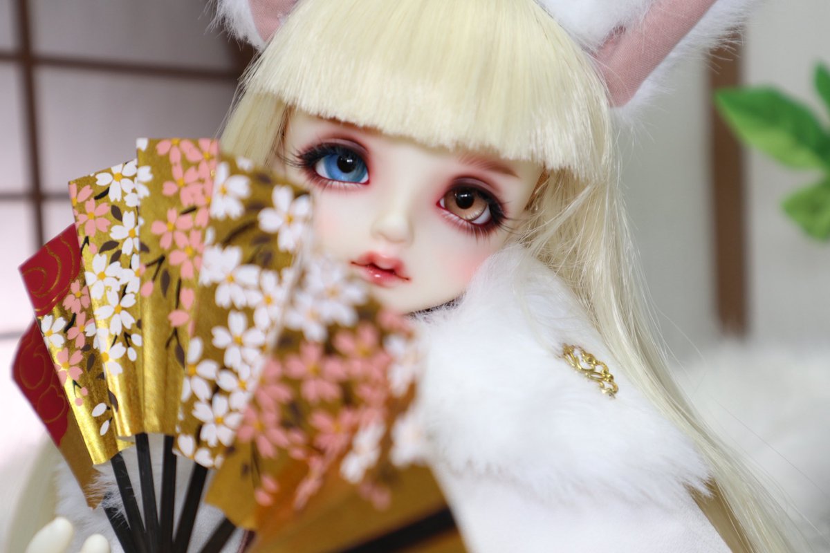 meme_nuicafe's tweet photo. 🌸🦊🪭…❤︎
#ドールスタジオaile
#だいごろせんせーのメイク
#sdm54 https://t.co/DtBlADTOz6