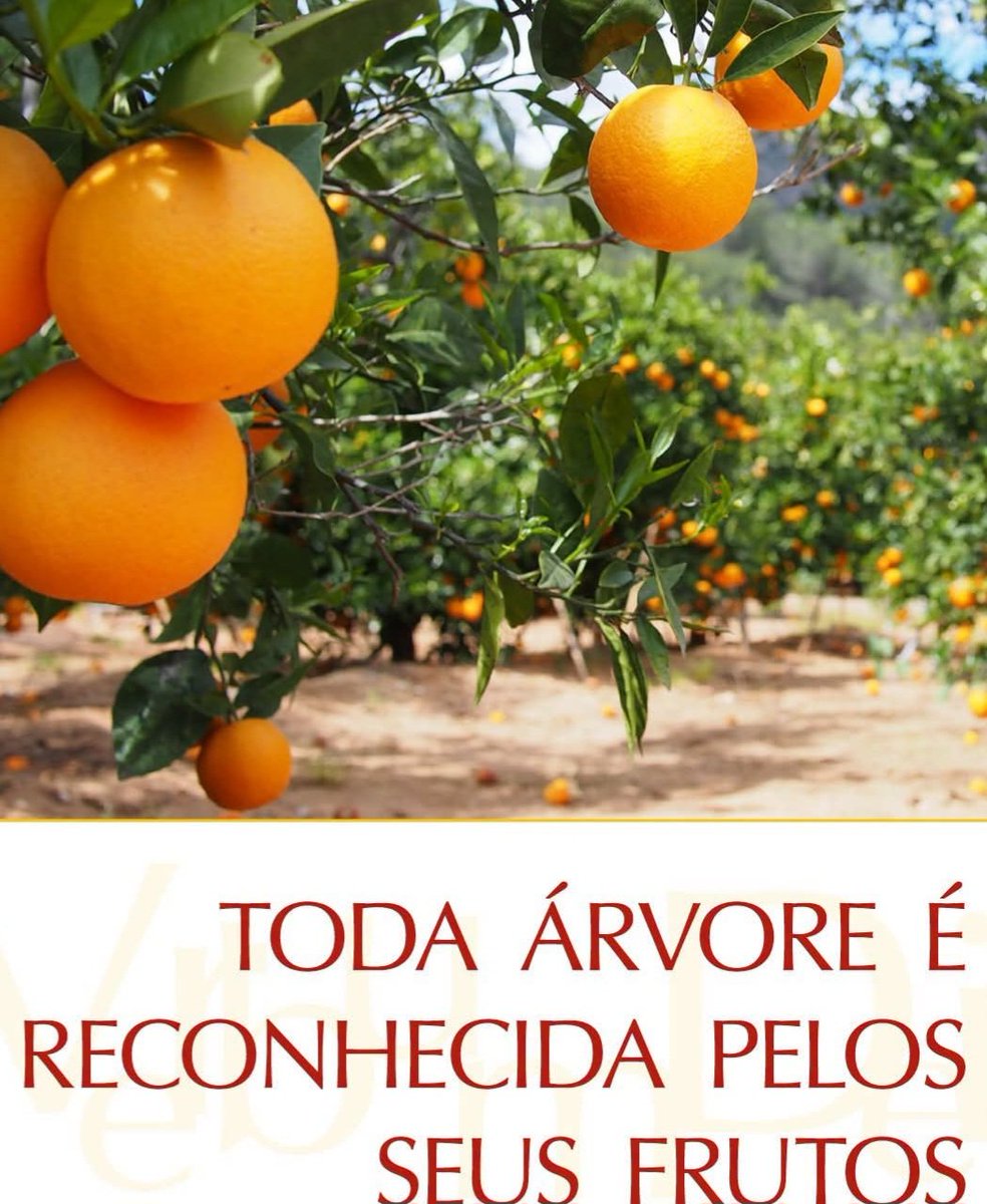 nalda09l's tweet photo. #reflexão 🌏🕊 https://t.co/xhWuMyQWzJ