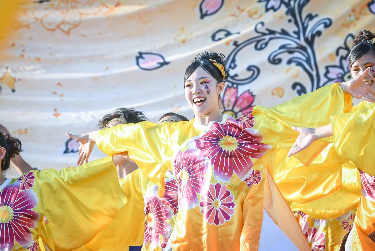 haruyosa23's tweet photo. 第27回 こいや祭り
神戸学生よさこいチーム湊
09.12 大阪城公園 メインステージ (3/3)

#こいや祭り #神戸学生よさこいチーム湊 https://t.co/6zHb32VdZz