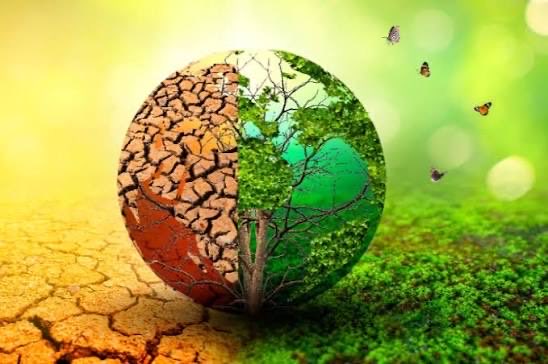 Eco365SI tweet picture