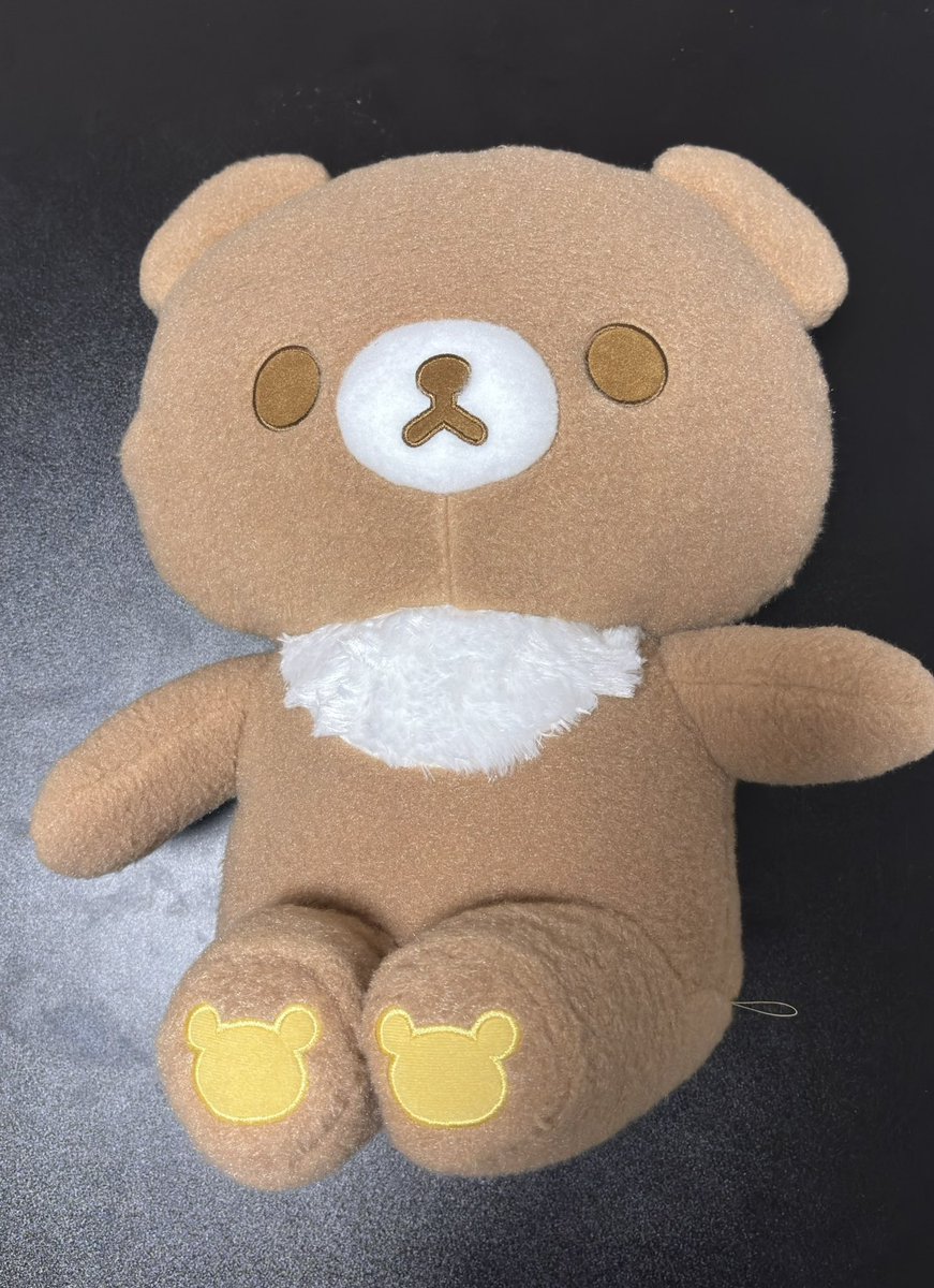 ChairoiOoguma's tweet photo. そして心斎橋のGiGOで試しにプレイしたら1発でコグマちゃんゲットしてしまった、、最近やっぱり豪運すぎるよ
興奮しすぎてリラックマ焼き見るの��れた https://t.co/9PHc7nQFlP