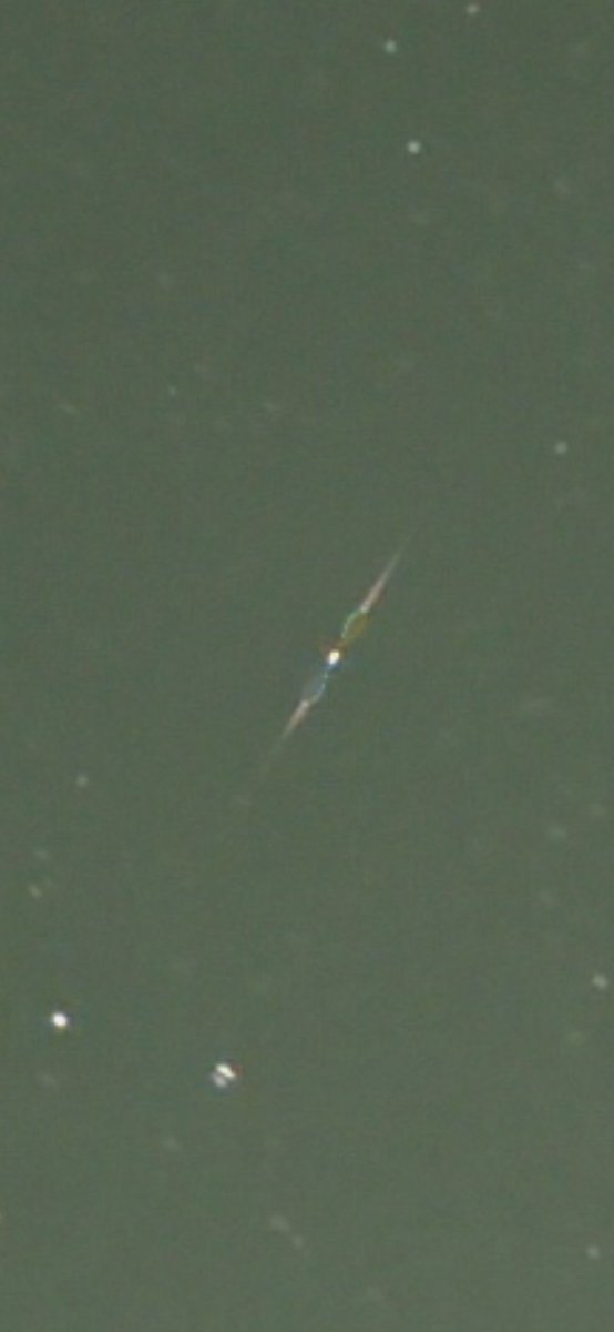 astronomy_dan's tweet photo. Heres a shot of a Rather Unusual Persied Meteor 🌠☄️ Seen here over Wolverhampton West Midlands UK with 2 Colours Blue and Green in a Helix ♾️ shape on 07/08/26. @MoonHourSocial @SkiesOfTheUK @ThePhotoHour @StormHour @BBCStargazing @skyatnightmag #persiedmeteorshower #Persieds https://t.co/vNCXLX0t9T