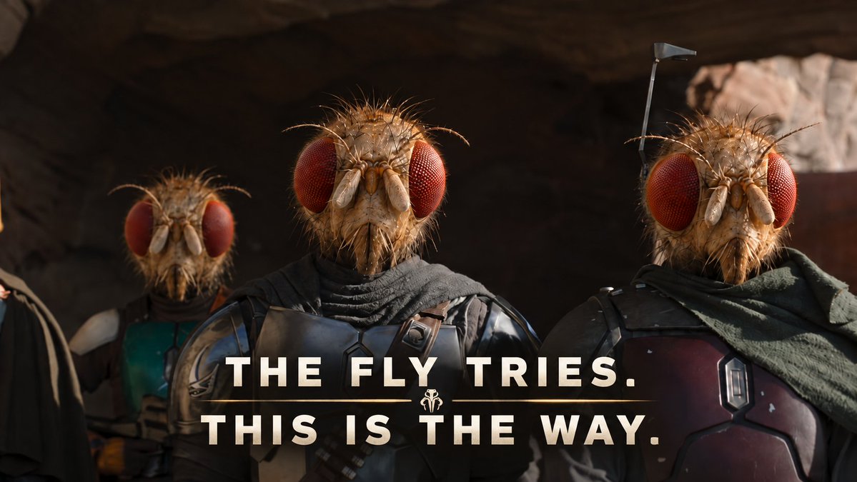 theFlyMiner tweet picture