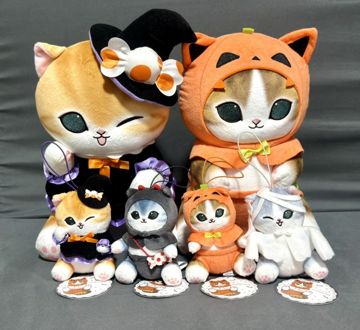 mfsnd_lv's tweet photo. 今日は1日もふ活三昧😺
まずはハロウィンにゃん
BIGぬいぐるみ・マスコット、コンプ✨
#mofusand
#モフサンド https://t.co/MNrq9yNkoF