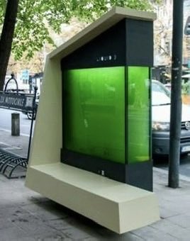 Unfroggettable5 tweet picture