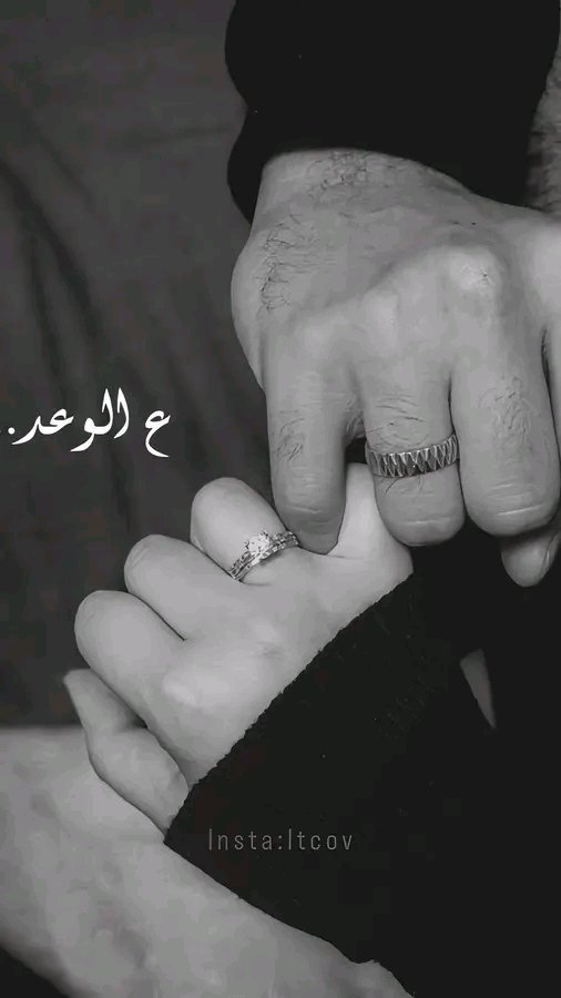 Abea52's tweet photo. وإنّي أحببتُك… وسأبقى أُحبُك ..
فأنت بداية روحي … 
وأنت الختام ...!!❤️ https://t.co/IxFpZfPXlO