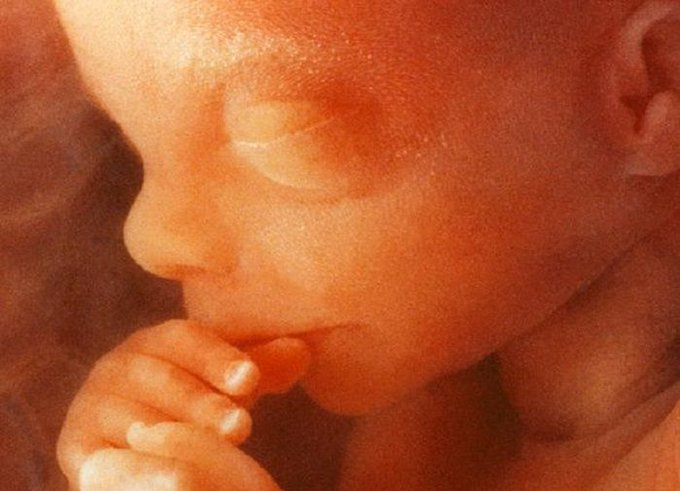 LifeNewsHQ's tweet photo. An unborn baby is a human being. A person.

Not a clump of cells, blob of tissue, parasite, thing, it or whatever else they want to call him or her. https://t.co/YMp3HHij20