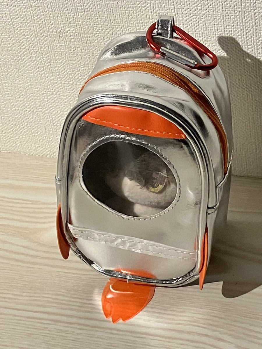 moiy9td's tweet photo. そんな…… https://t.co/4uNGeSfe7i