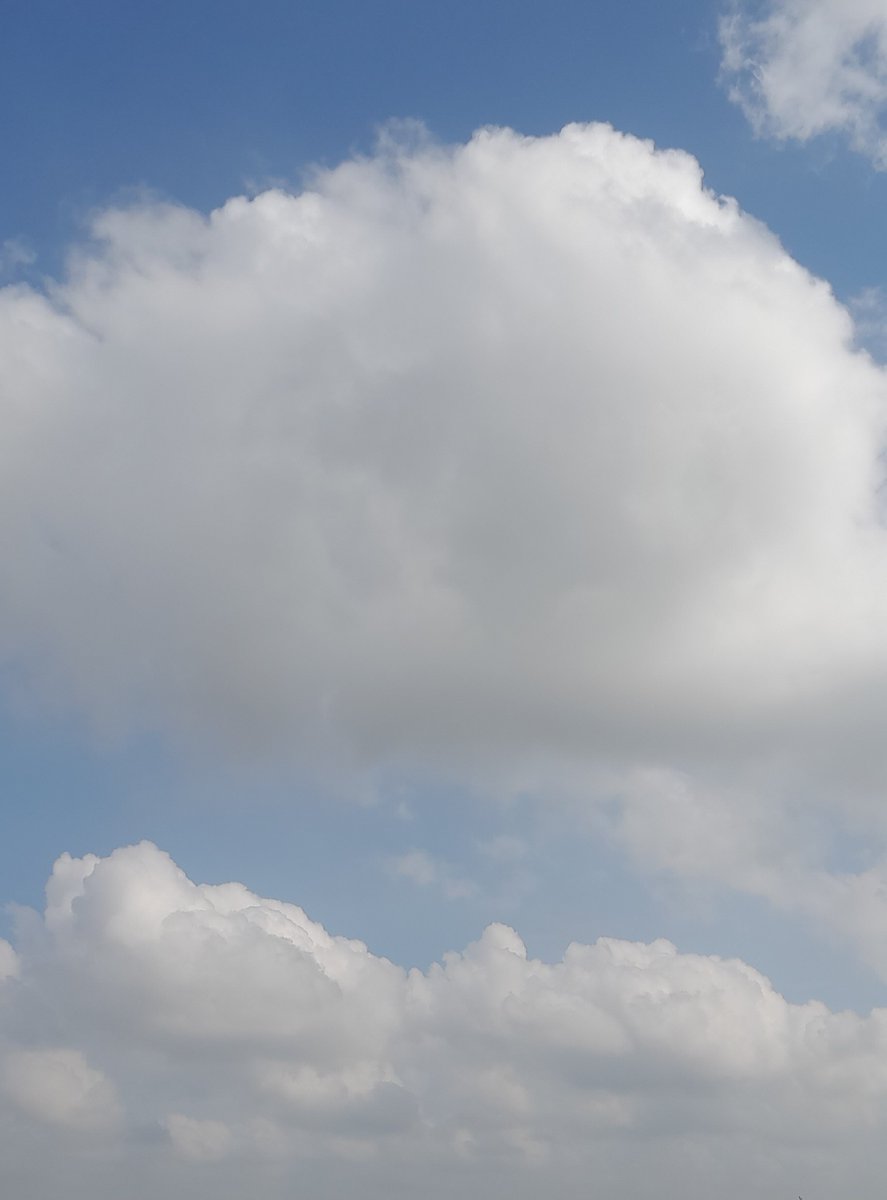 PoojaCh76101882's tweet photo. Cloudy sky ☁️ 

#photography 
#nature https://t.co/csxF5tvoDr