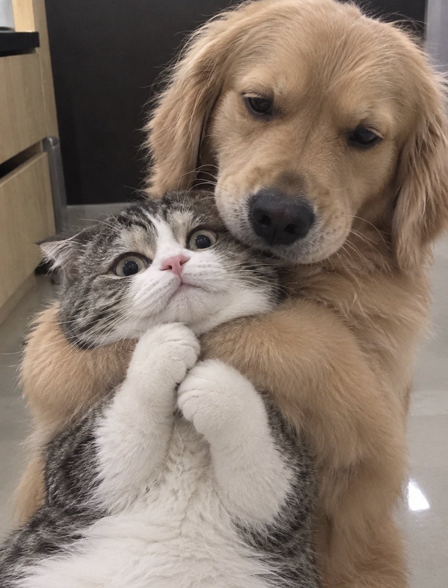 NNxu_u's tweet photo. ใจเย็นๆคับ ใจเย็นๆ
#tthi_eks #waavetnp 
#theewave #ท่านโปรดคลื่น https://t.co/S2NPTRdCiq