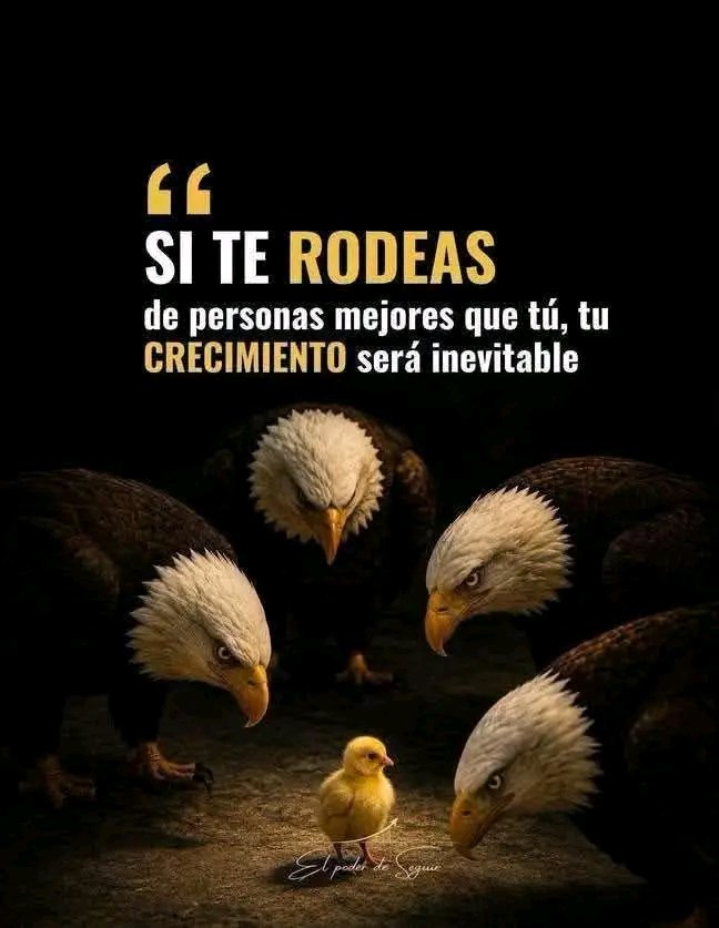 ChuyReyes4t's tweet photo. Así es la vida ... hay que rodearse de gente chingona https://t.co/2SPFyLinwH