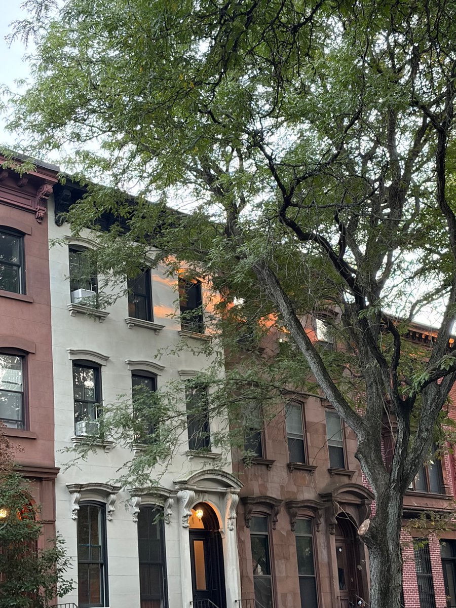 iguannalin's tweet photo. grateful to live in this park called brooklyn https://t.co/htCoV1knQn