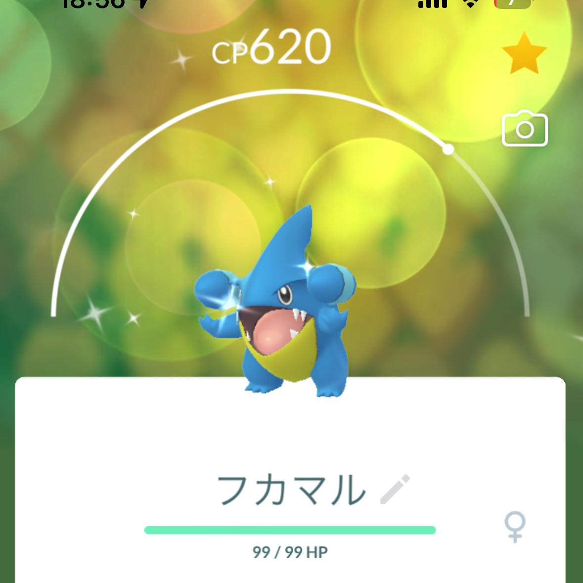 A2xFz's tweet photo. 今日はポケカでもお世話になってるフカマルの日！
残念ながら色背景は出なかったけど色違いは初めてGETできて嬉しい！
ところでガバイトの色違いよくないですか(画像なし)
#ポケモンGO https://t.co/jHsLIRDO1K