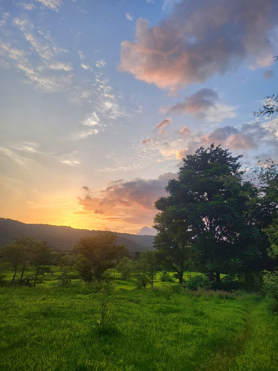 TheFindingNimo's tweet photo. 🍀 
गाव 
#कोकण https://t.co/8BQtu51YYm