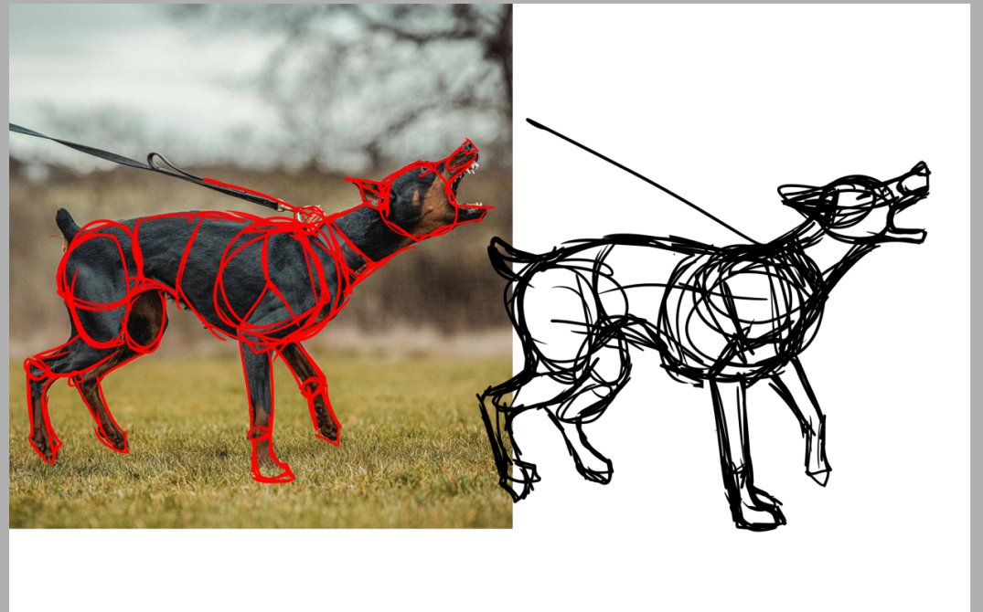 evil_from_hell's tweet photo. Sketches for studying part 4
#art #artstudy #sketches #dog #canine #artmoots https://t.co/MuOw7U21ZO