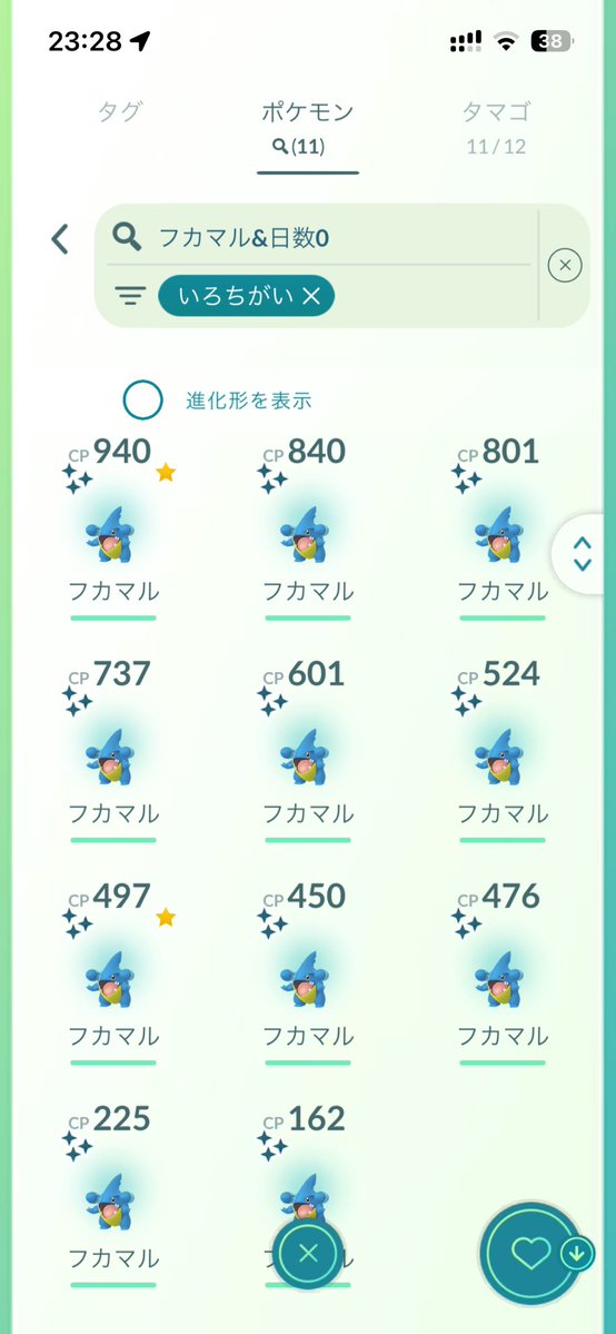 yadopika's tweet photo. #ポケモンGO #pokemongo 
フカマル復刻コミュデイ色違い11の色背景0匹
今回はいつもより色���低め？ https://t.co/ezRx4ep2IA