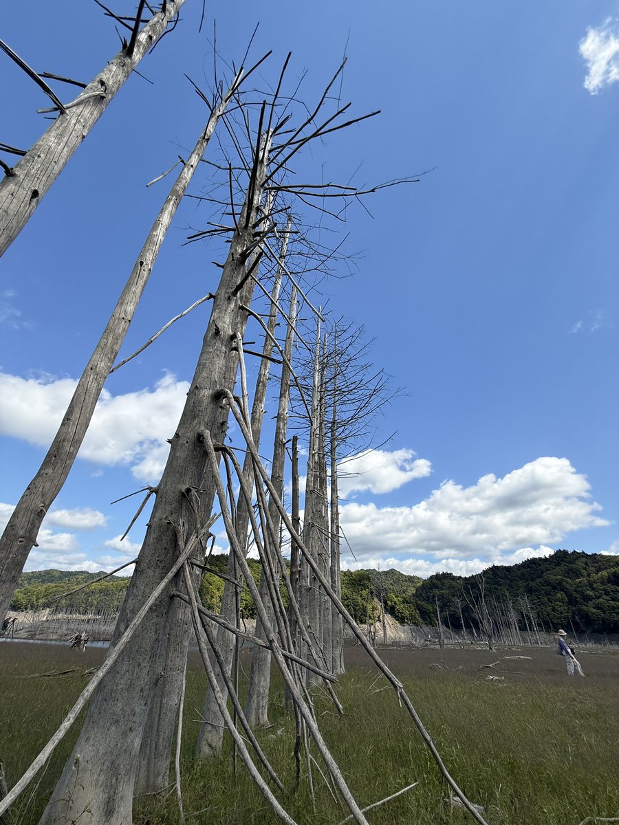 184freaks's tweet photo. シューパロ湖の鹿島地区の一般開放で散策

良きかな良きかな https://t.co/2cm97SxIRs