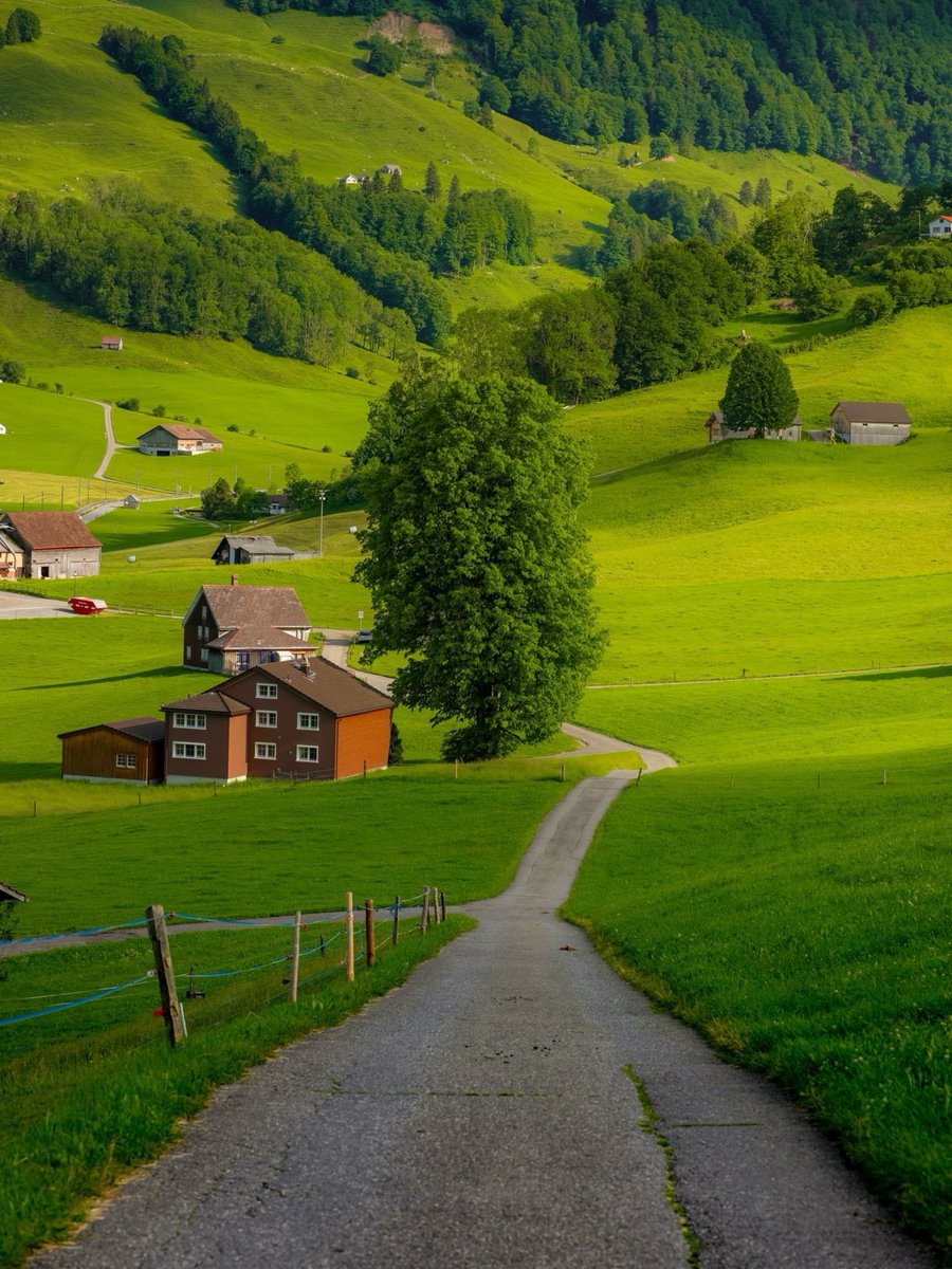 PrettyCitiesX's tweet photo. Switzerland 🇨🇭 https://t.co/L5ZzOuBama