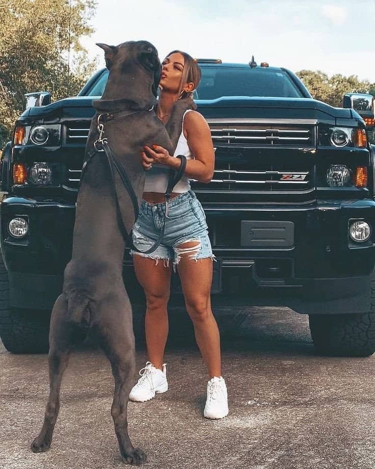 Stephk9love's tweet photo. His knot swells up and I reach around to feel it plugging my pussyl orgasm hard. I know he was made for meWanna enjoy our kinky vids?
#USA #K9USA #Everthingdog #FYP #beastiality CLICK TO EXPLORE🐶🥵🔞
https://t.co/BOpMTRGYJL https://t.co/dp4wJBQGX2