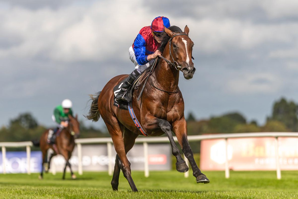 LeopardstownRC tweet picture