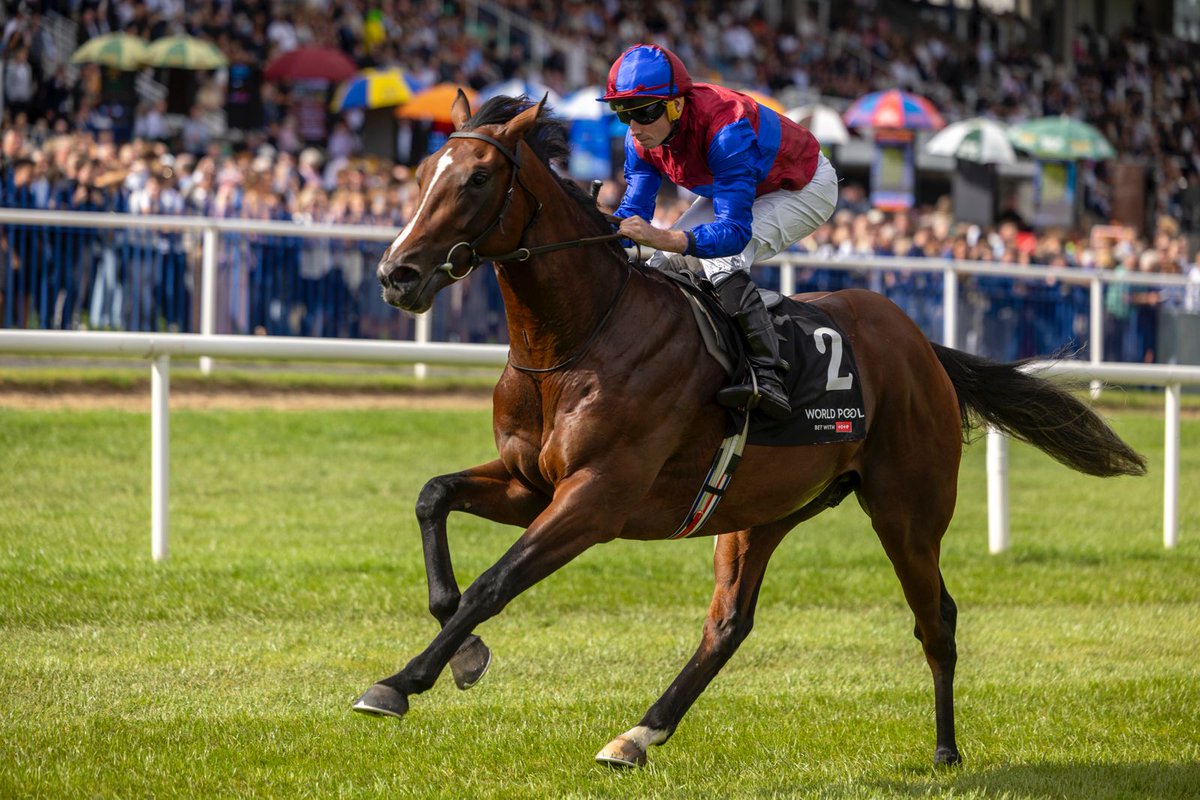 LeopardstownRC tweet picture