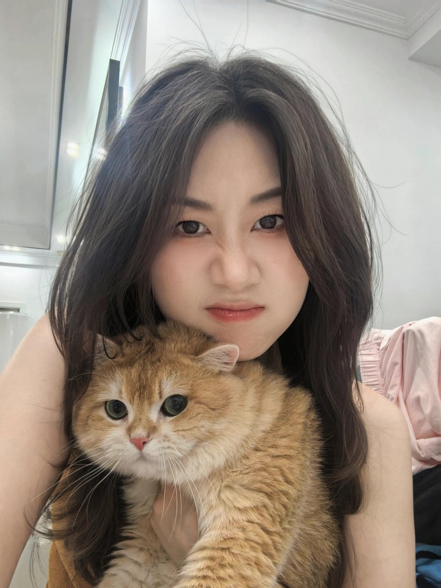 queen___kajal's tweet photo. 我家猫会后空翻 要跟我一起回去看看吗？ https://t.co/kltBD5Xpo1