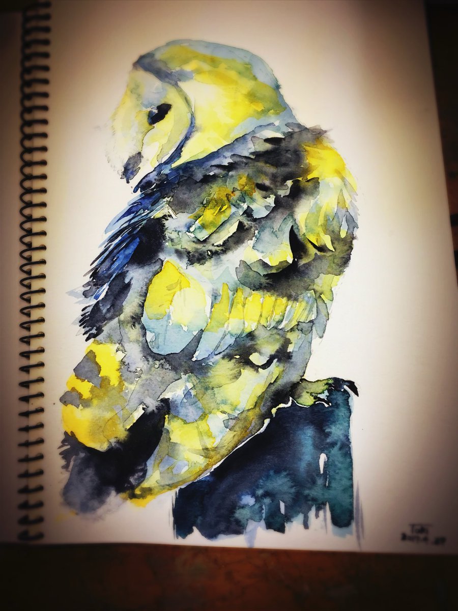 kamenozoki787's tweet photo. #全クリエイターに告ぐ鳥の作品を解放せよ https://t.co/0SRAUqGPyj