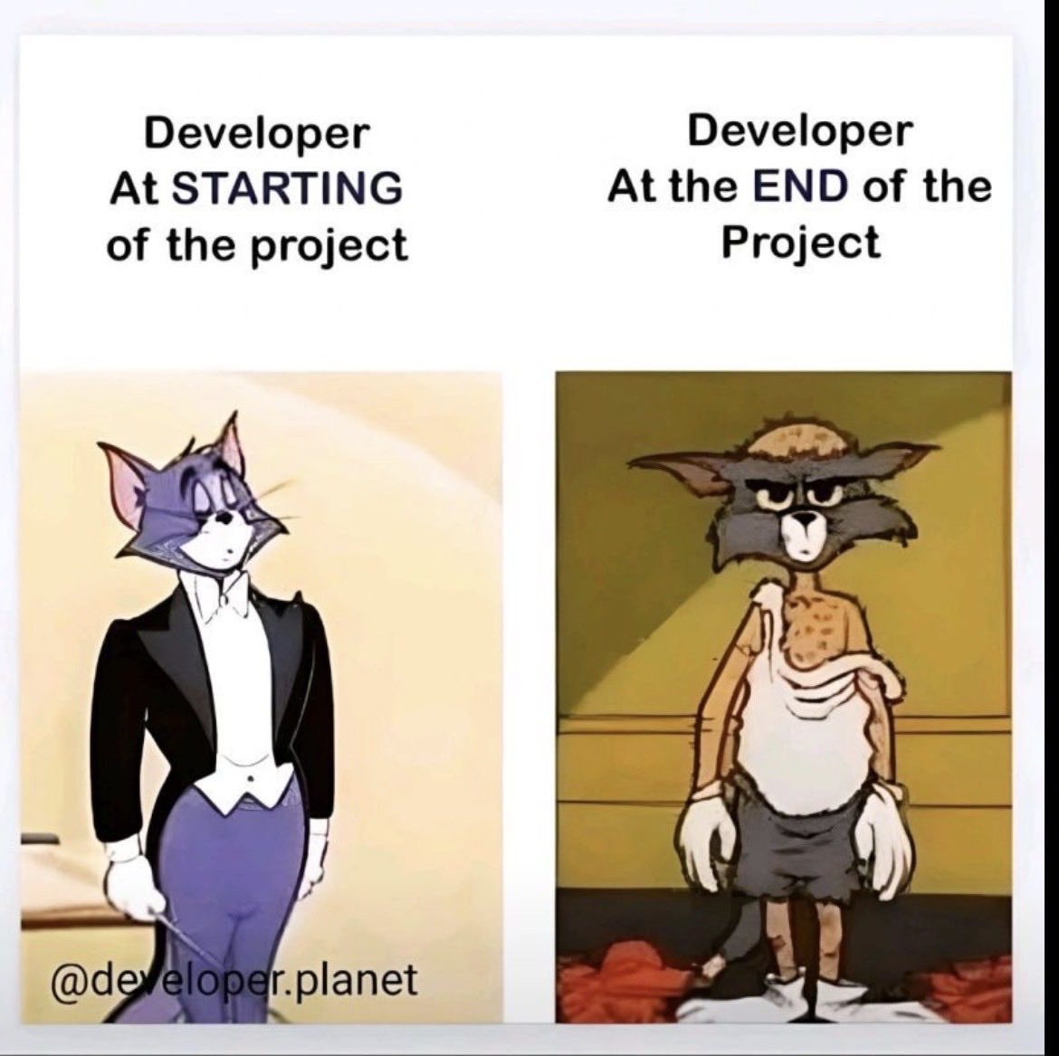 macsystemsdev tweet picture