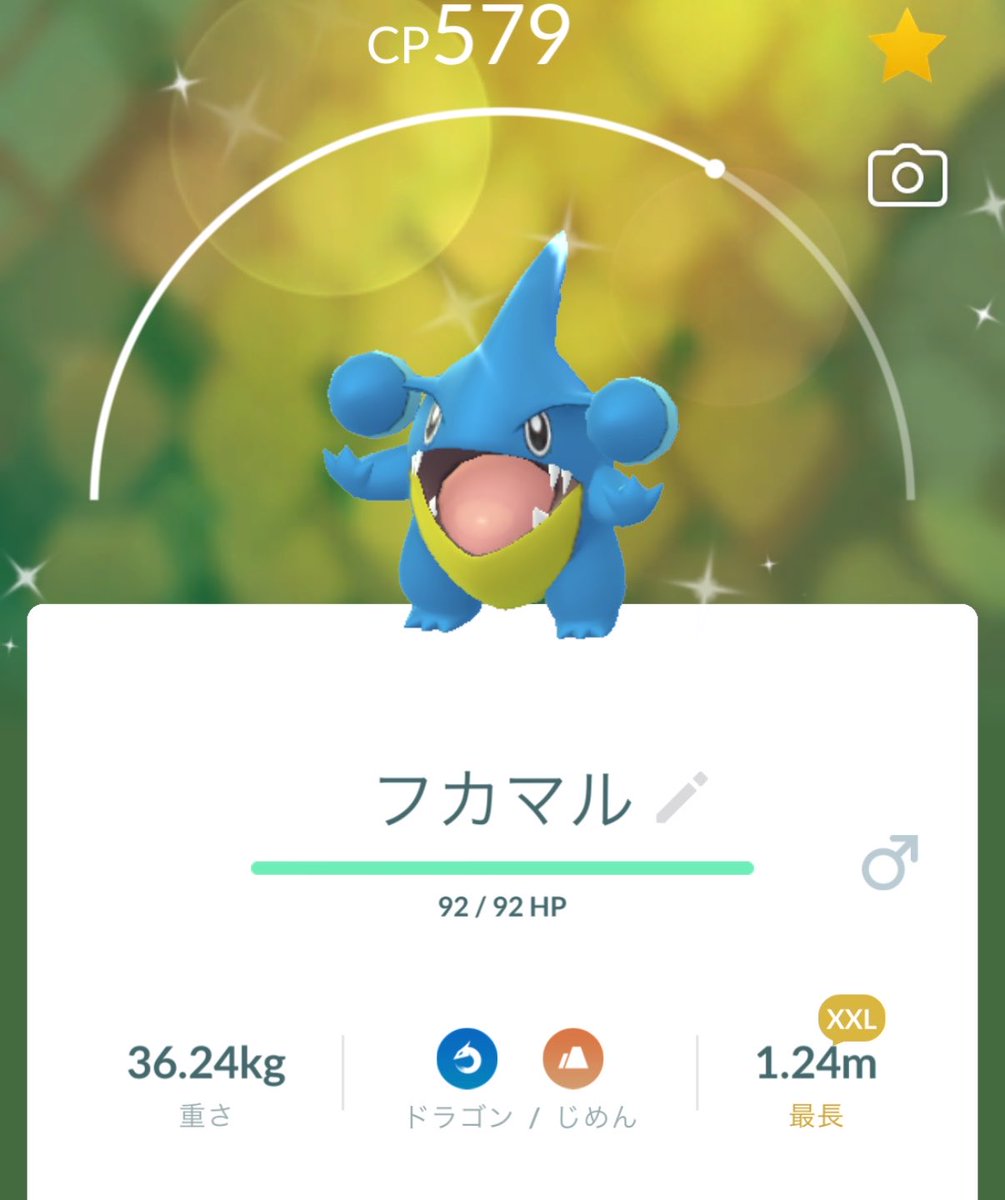 akamaru3113's tweet photo. フカマルコミュデイ💯はいなかったけど色背景2体と色違いXXLは捕獲！
#ポケモンGO
#コミュニティデイ
#フカマル
#XXL
#色違い https://t.co/xtrdQty4Pw