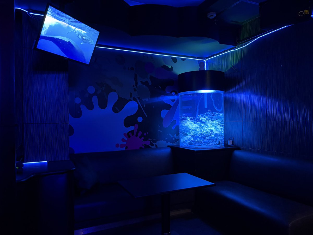 girlsbar_merry's tweet photo. 🩵 Merry Blue NEWS 🩵

~ 青の深海 内装紹介 ~ 🐋𓈒𓏸

✨️ 店内には3基の特大アクアリウム ✨️

      非日常感に満足なひととき 🍀︎

      他に無い！写真映えする空間です🪽 https://t.co/cNrqmpEYTB