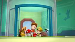 hoangkhang5686's tweet photo. Marshall being crash by Alex #pawpatrol https://t.co/sIAP3G60Qj