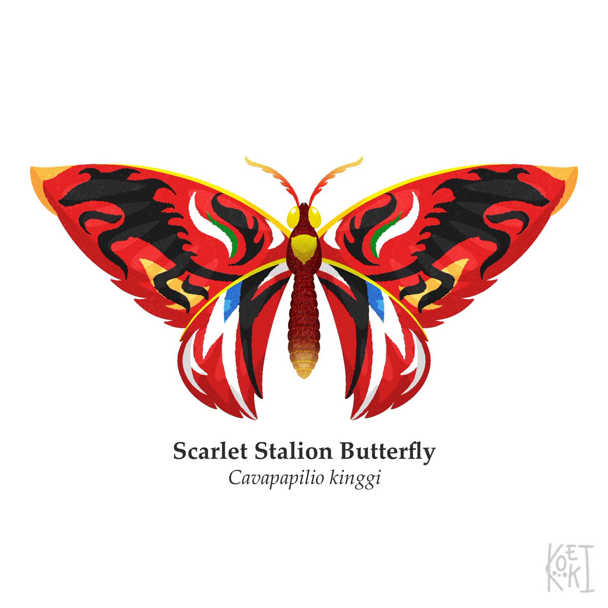 maskoeki's tweet photo. Butterflies in F1

big four edition first 

#art #illustration‌‌ #F1 #butterfly https://t.co/RjTdHAZhJm