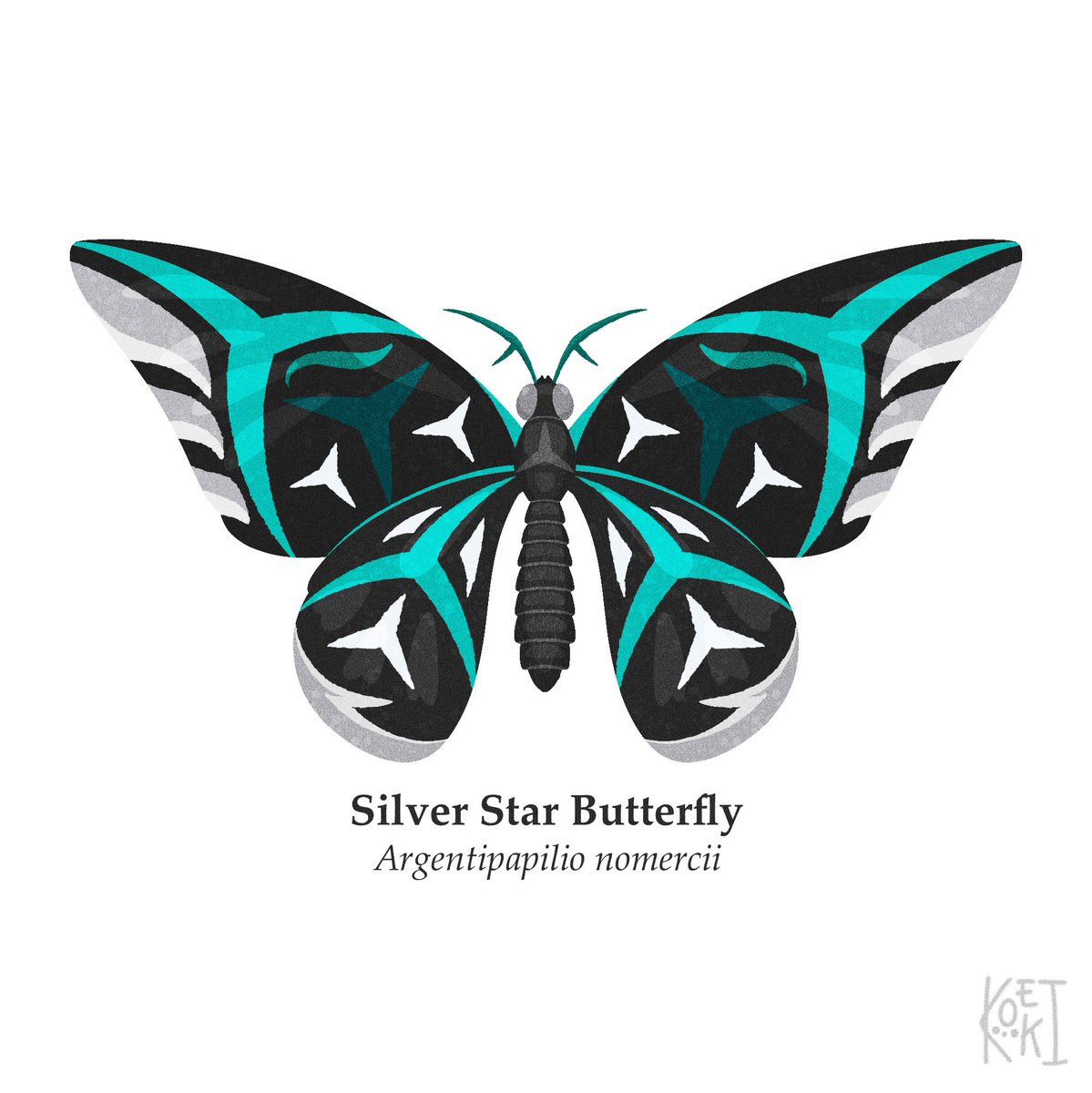 maskoeki's tweet photo. Butterflies in F1

big four edition first 

#art #illustration‌‌ #F1 #butterfly https://t.co/RjTdHAZhJm