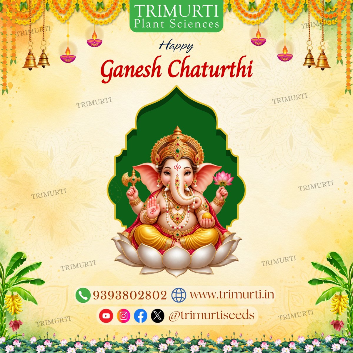 TrimurtiSeeds's tweet photo. 🙏🌺 Wishing you and your family a very Happy Ganesh Chaturthi! 🌺🙏 https://t.co/yk81ZawcoC