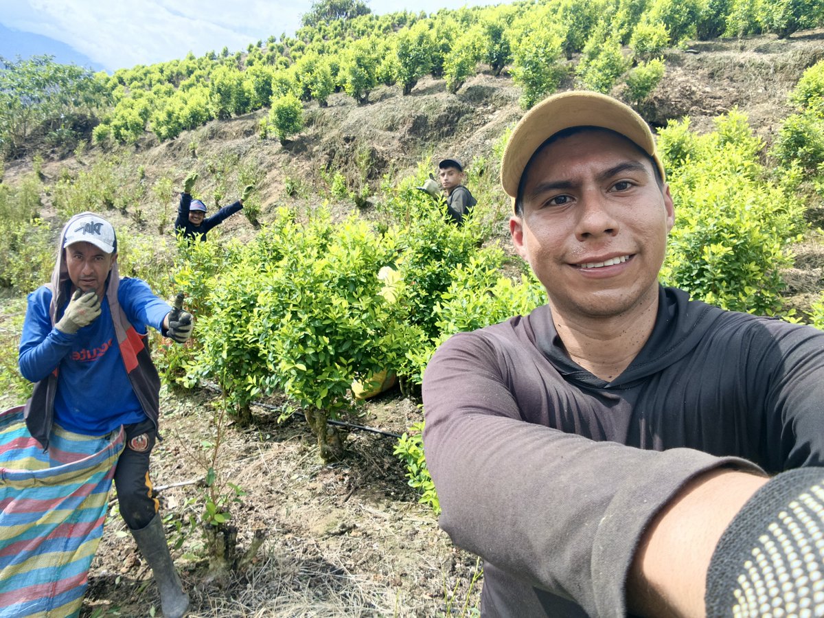 felipe_ort71063's tweet photo. ¡Soy Felipe Ortega Oficial Felipe Ortega campesino a mucho honor y con orgullo lo grito al mundo! Hoy quiero dar gracias a Dios porque de su mano 🙏🏻, con esfuerzo, sudor y una actitud siempre positiva, no hay sueño imposible. Sé que estoy trabajando muy duro día a día, madrugando https://t.co/77Dl3CcjN6