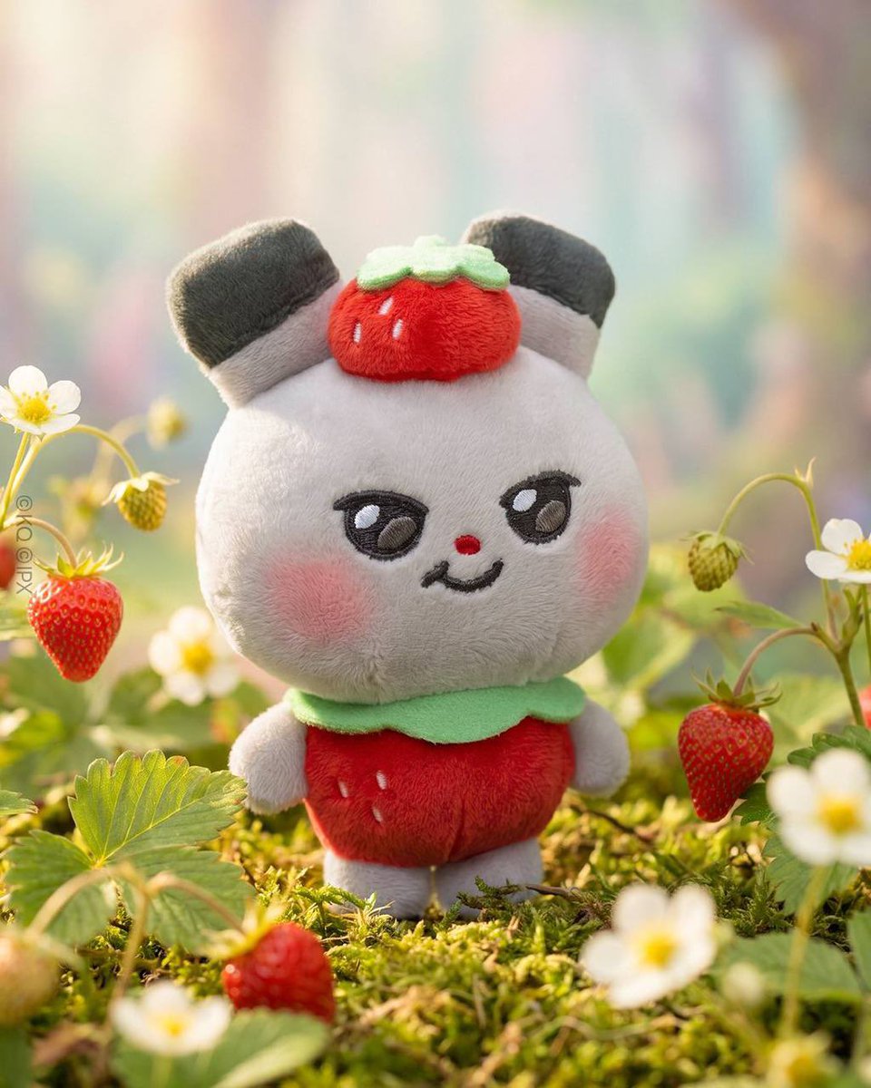 mingibills's tweet photo. WTS/WTPS MIGHTEEZ BERRY FAIRY DDEONGYO 

- rm60 (price exc ems &amp; postage)  
- secured with Pinkeuwinkeu (tele) 
- dm/comment if interested! 

#pasarATEEZ help rt tq! https://t.co/iOwQ7hwcyj