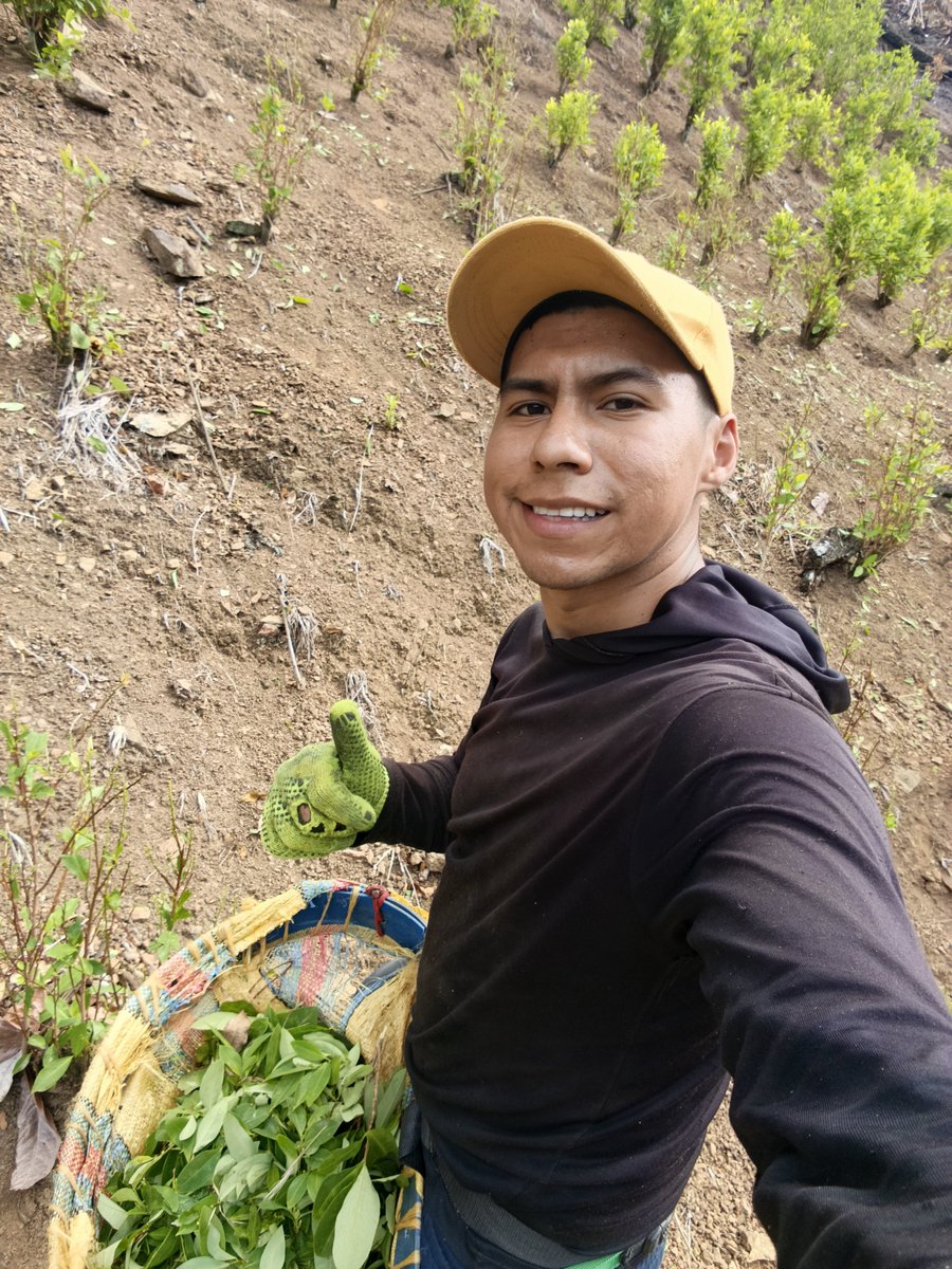 felipe_ort71063's tweet photo. ¡Soy @felipeortegaoficial campesino a mucho honor y con orgullo lo grito al mundo! Hoy quiero dar gracias a Dios porque de su mano , con esfuerzo, sudor y una actitud siempre positiva, no hay sueño imposible. Sé que estoy trabajando muy duro día a día, madrugando con Fé en Dios🙏🏻 https://t.co/jTG0Dypqyi